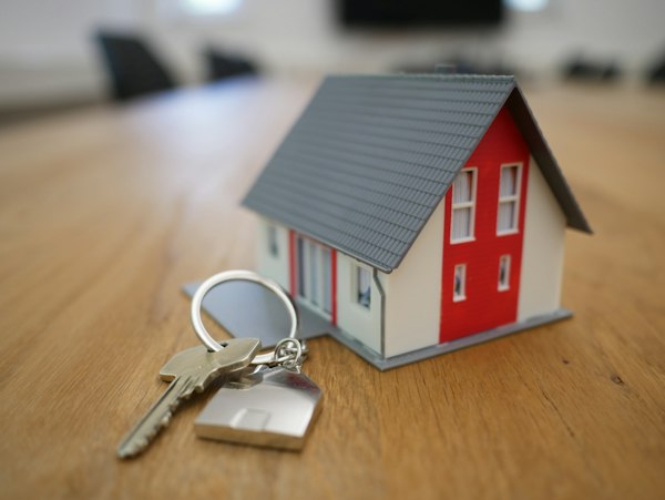 Gozgalmaýan emläkleriň ekspertizasy we dolandyrylyşy