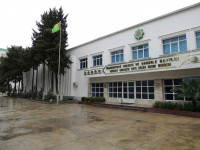 DALAŞGÄRLER ÜÇIN